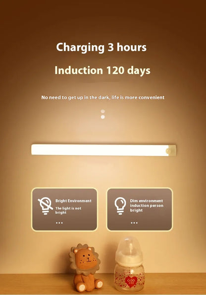Motion Sensor Light Bar